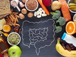 intestino