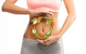 saude intestinal